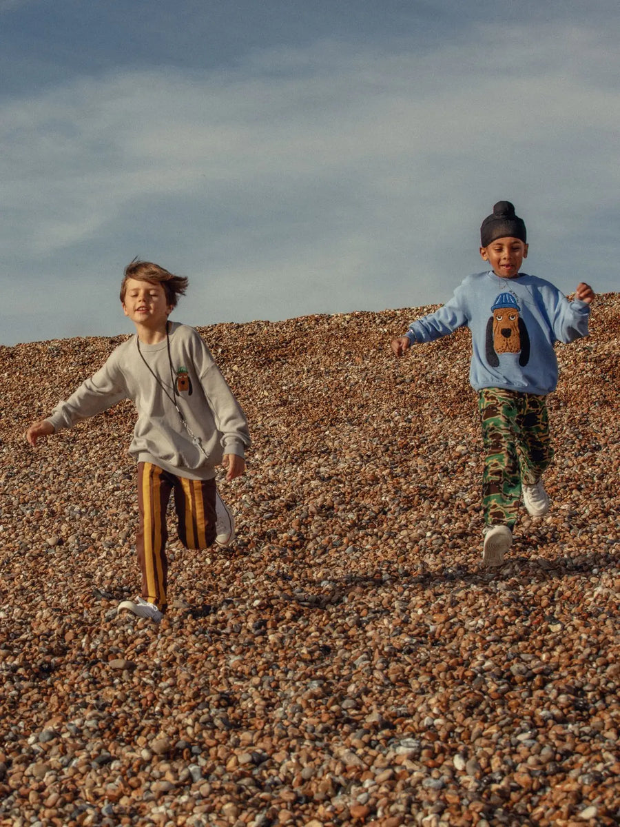 Spodnie dresowe Ritzratz Brown