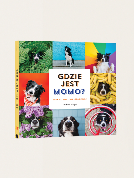 Gdzie jest MOMO?