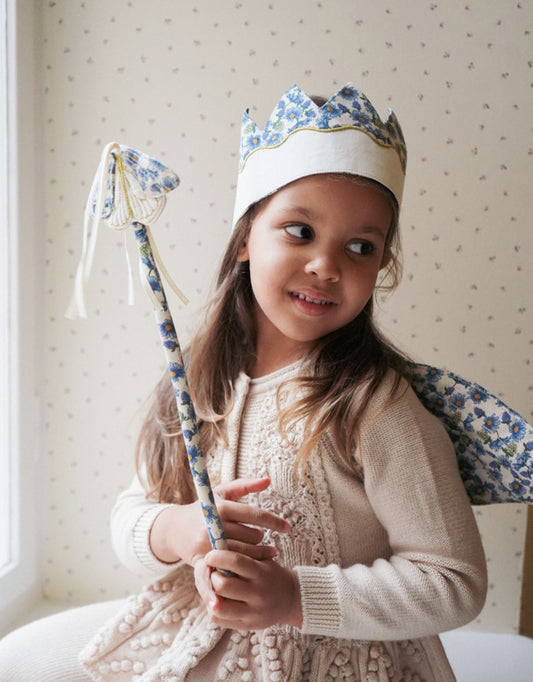 Kostium / przebranie Motyl