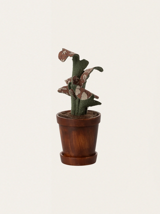 Doniczka z rośliną do domku myszek