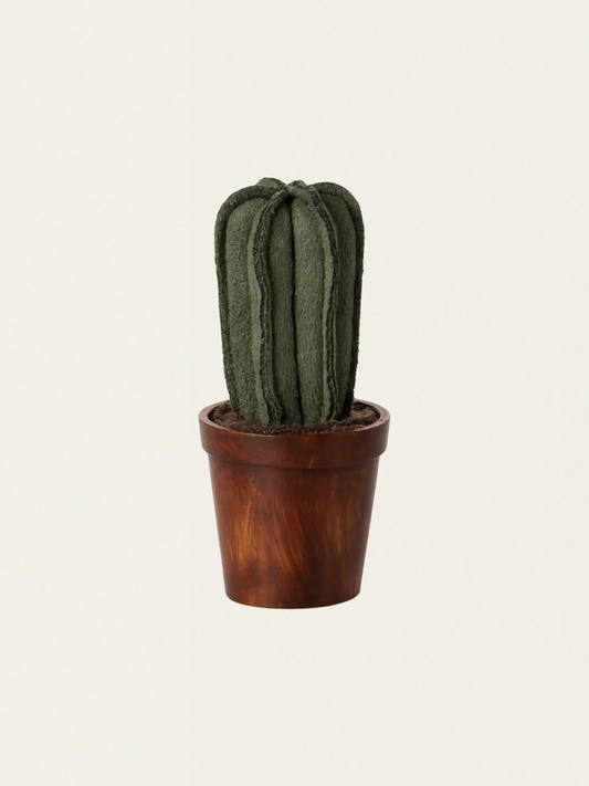 Doniczka z kaktusem do domku myszek