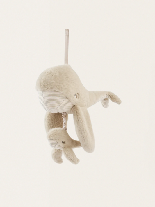 Pozytywka wieloryb Mandy