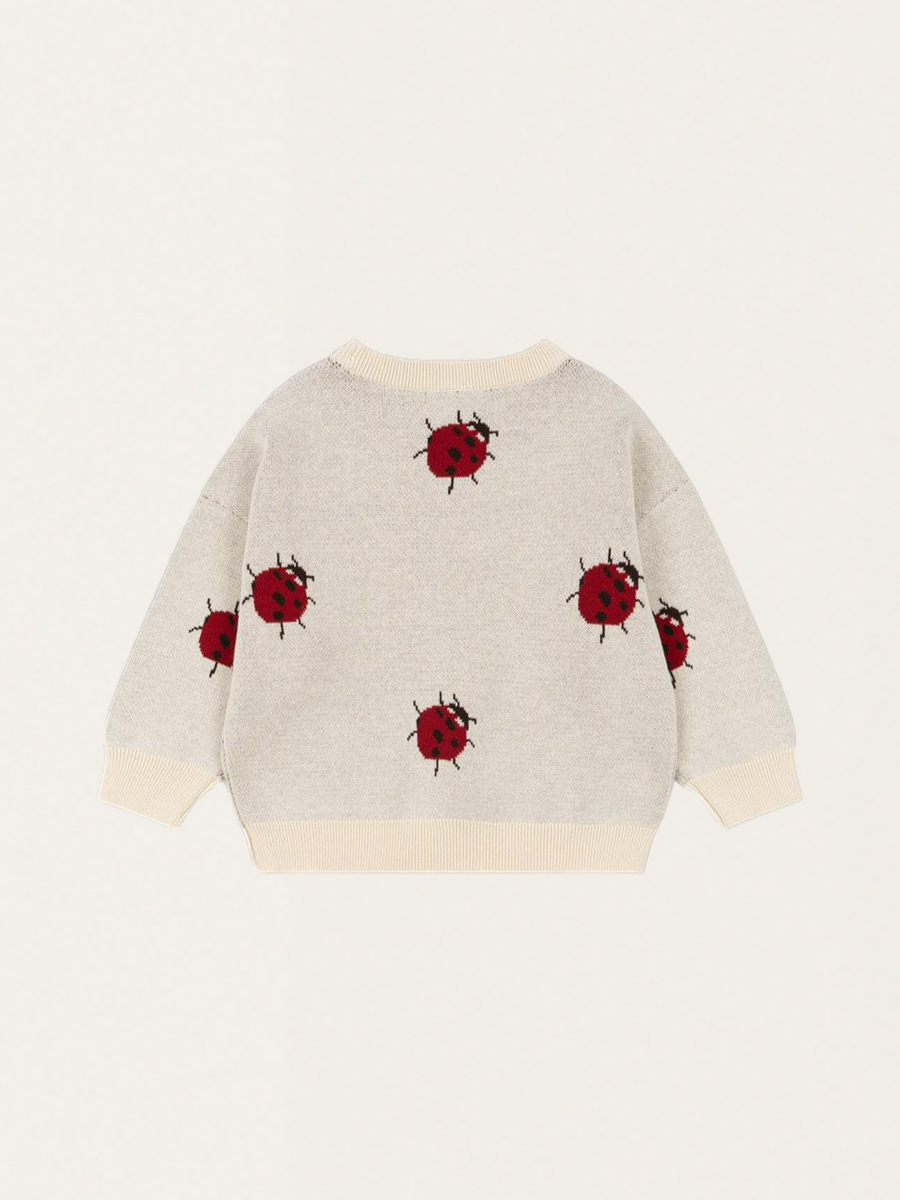 Bluza dzianinowa Lapis