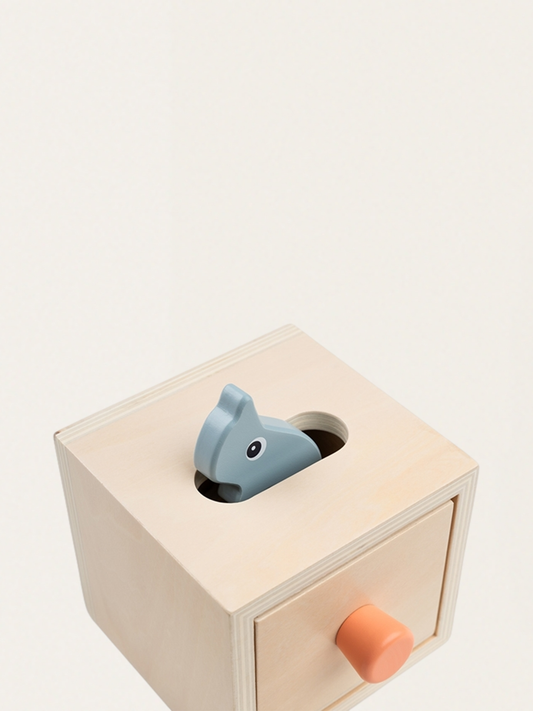 Pudełko “Ukryj i Znajdź” Nozo