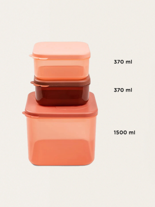 Zestaw pojemników L Elphee