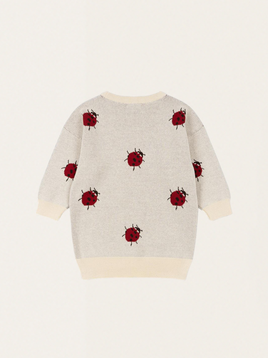 Dzianinowa sukienka Lapis