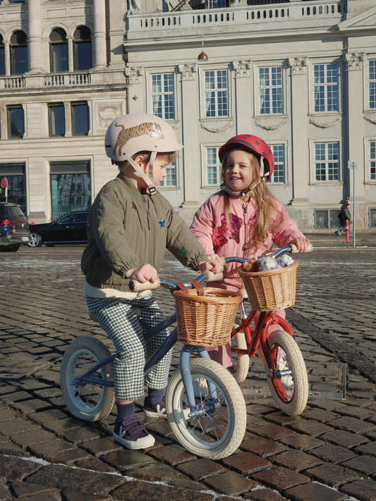 Rowerek biegowy Blue Stripe