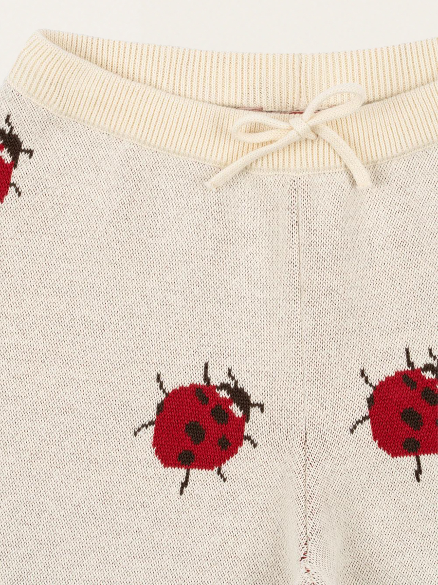 Dzianinowe spodnie Lapis