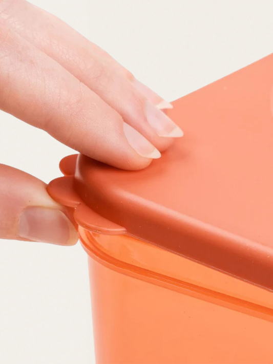 Zestaw pojemników L Elphee