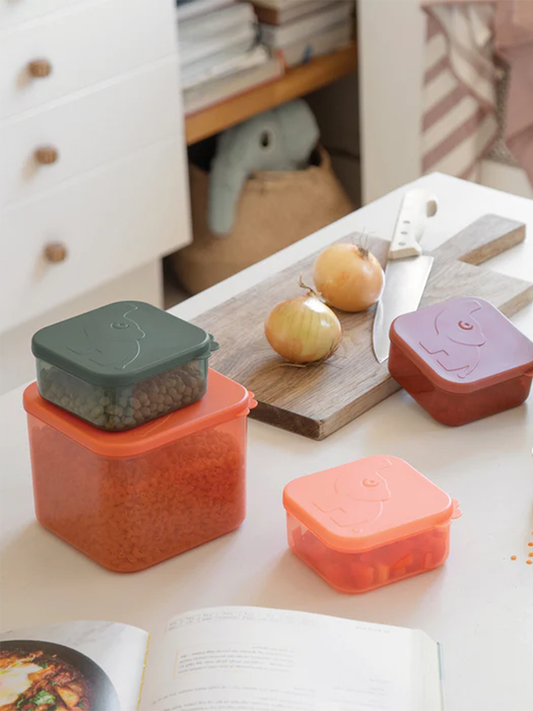 Zestaw pojemników L Elphee