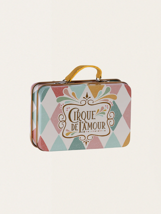 Metalowa walizka na drobiazgi