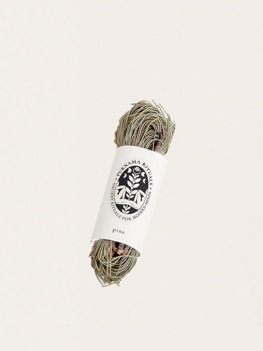 Kadzidło - sosna