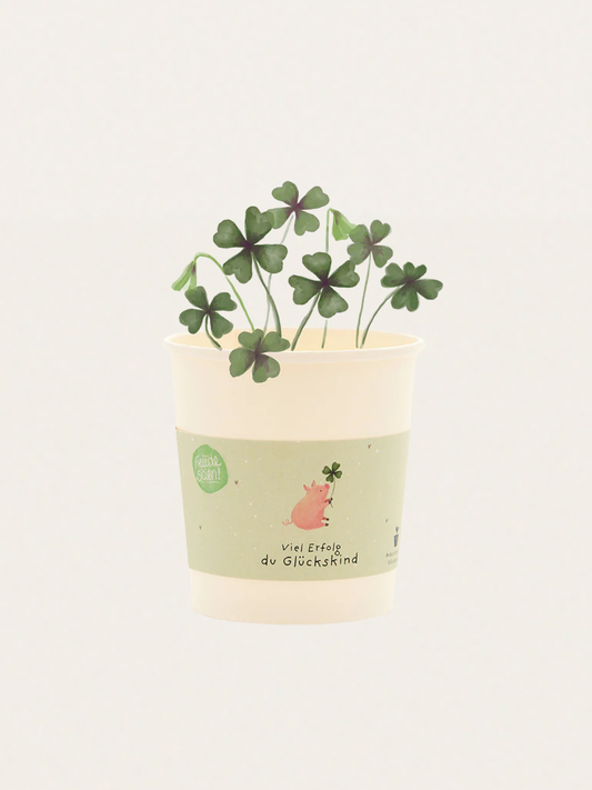 Zestaw do samodzielnej uprawy koniczyny na szczęście