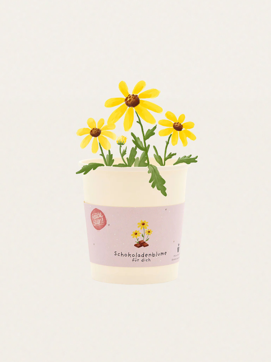 Zestaw do samodzielnej uprawy kwiatów o zapachu czekolady