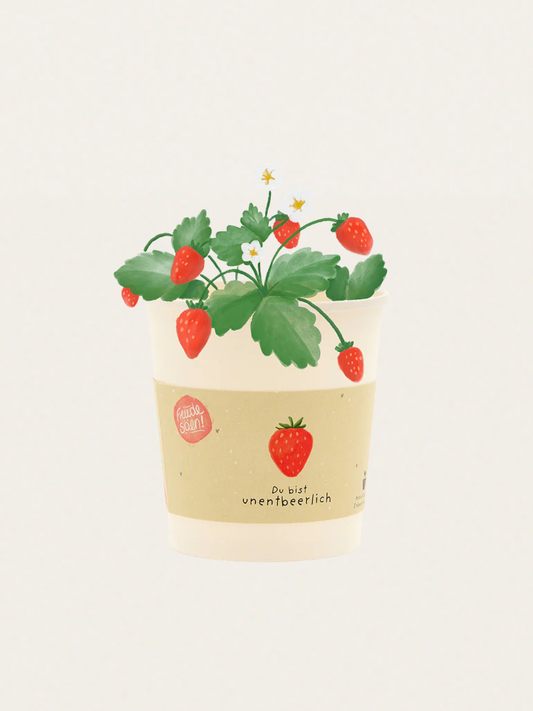 Zestaw do samodzielnej uprawy truskawek