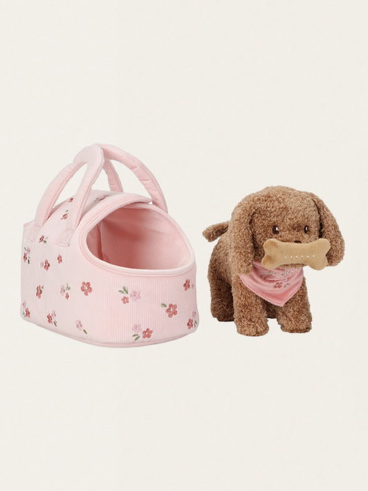 Piesek Jackie w nosidełku