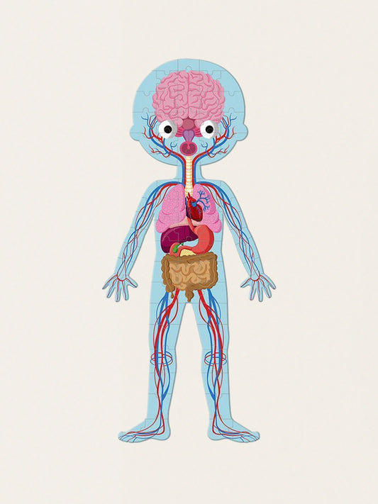 Puzzle edukacyjne: Gigantyczne ciało człowieka