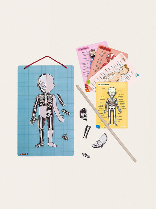 Układanka magnetyczna: Ciało człowieka