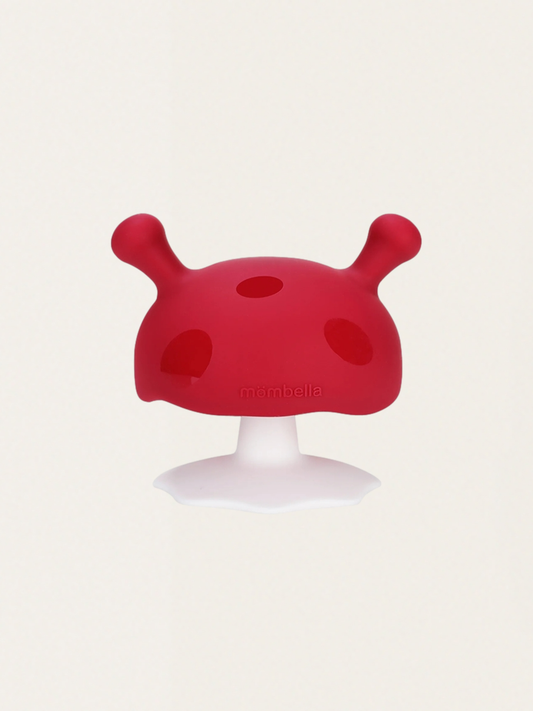 Gryzak grzybek Mushroom