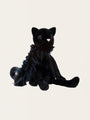 Czarny kotek Glamour