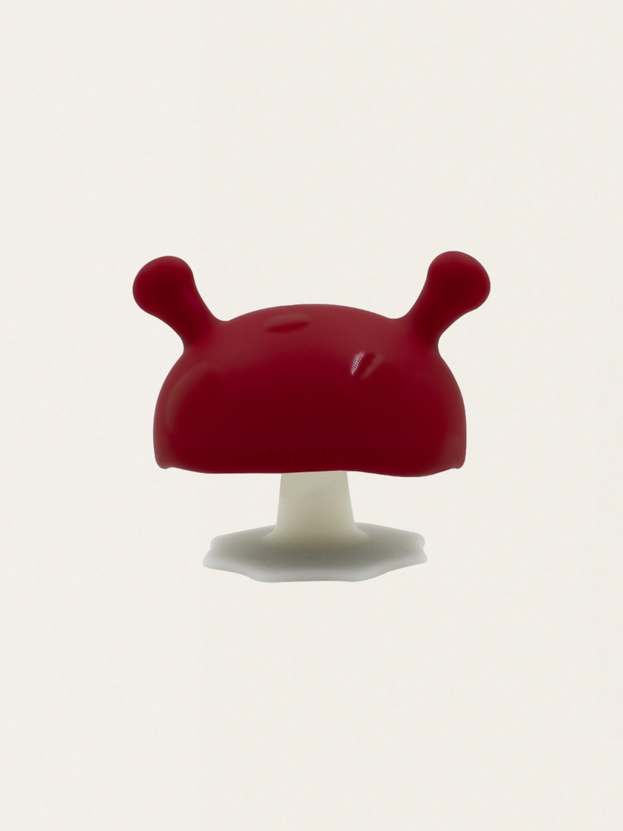 Gryzak grzybek Mushroom