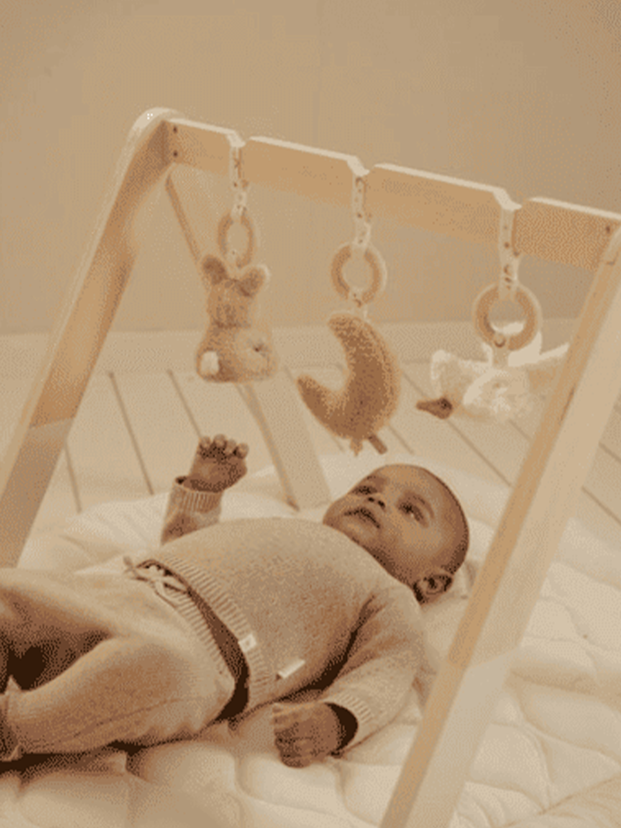 Baby Gym - pałąk z zawieszkami Newborn Naturals