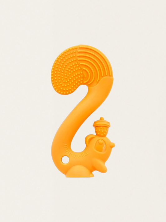 Gryzak wiewiórka Squirrel