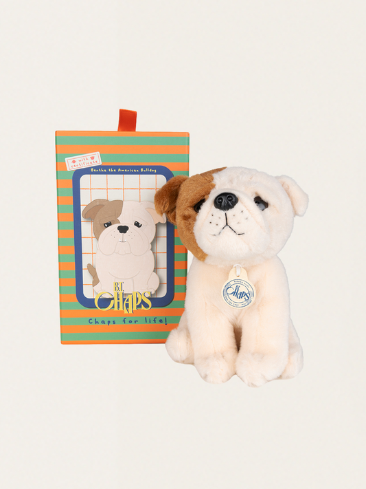 Przytulanka piesek w pudełku Bertha the American Bulldog