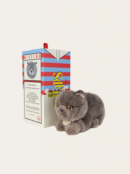 Przytulanka kotek w pudełku Freddy the British Shorthair