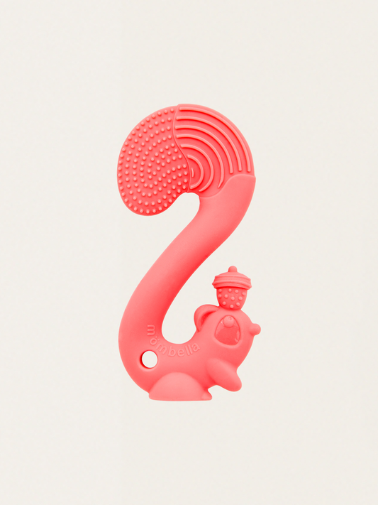 Gryzak wiewiórka Squirrel