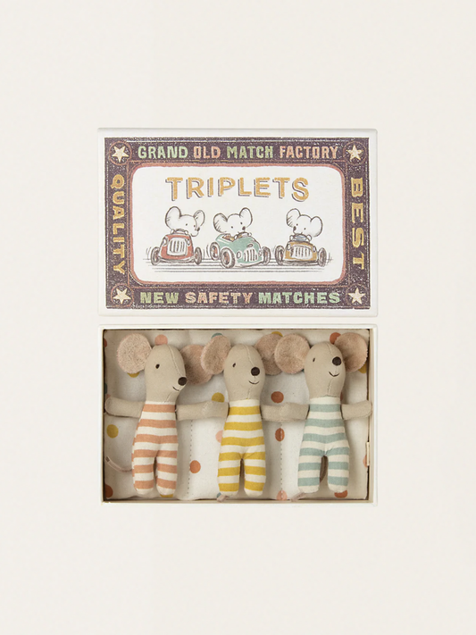 Myszki trojaczki w pudełku po zapałkach Baby Mouse