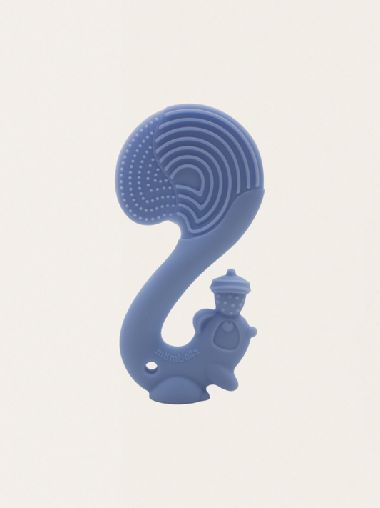 Gryzak wiewiórka Squirrel