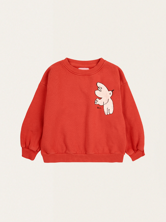 Kids cotton sweatshirt