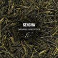 Herbata sypana Green Tea The Sun Eternal