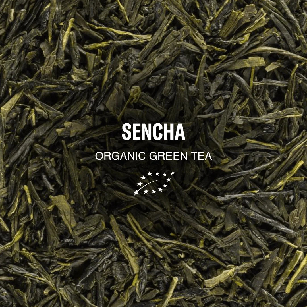 Herbata sypana Green Tea The Sun Eternal