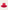 Sukienka baletowa Marine Rose Red