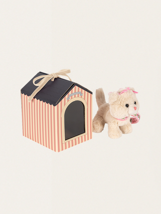 Pluszowy kotek w ozdobnym pudełku