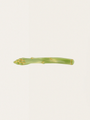 Spinka - wsuwka do włosów Asparagus