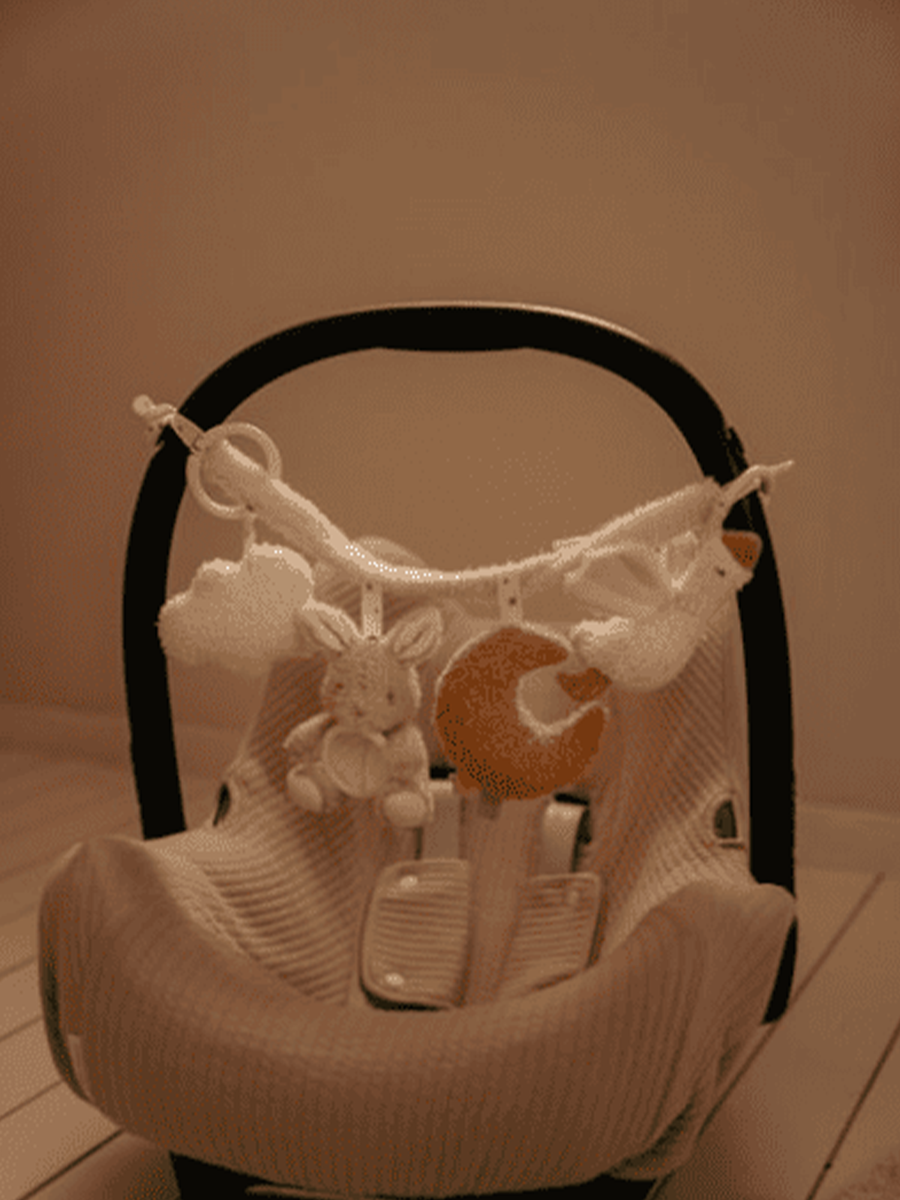 Zawieszka sensoryczna do wózka i fotelika Newborn Naturals
