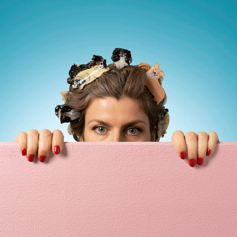 Cavalier Spaniel Hair Clip