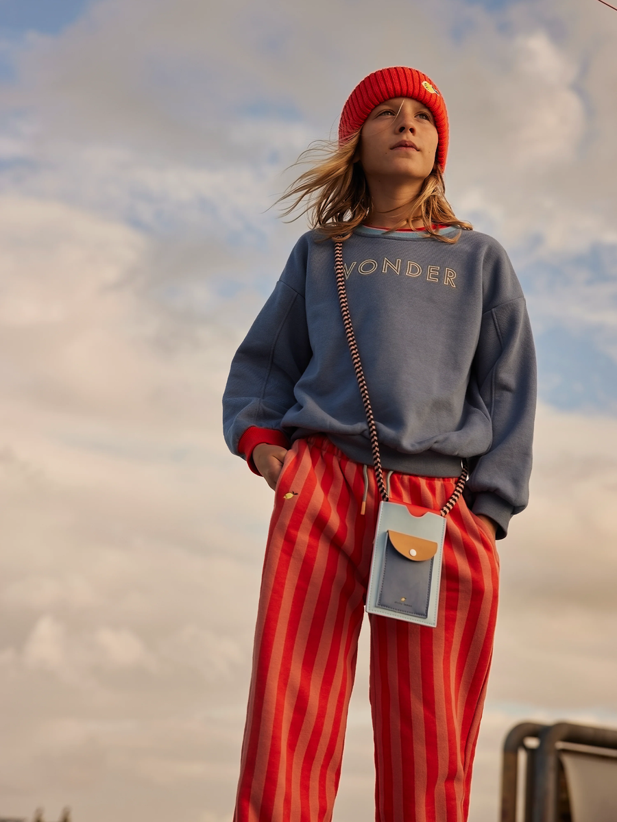 Etui na telefon Wonders  zissou blue + blue whale