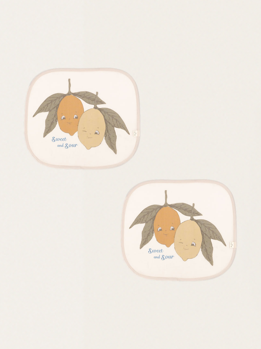 Samochodowe osłonki przeciwsłoneczne 2 szt.