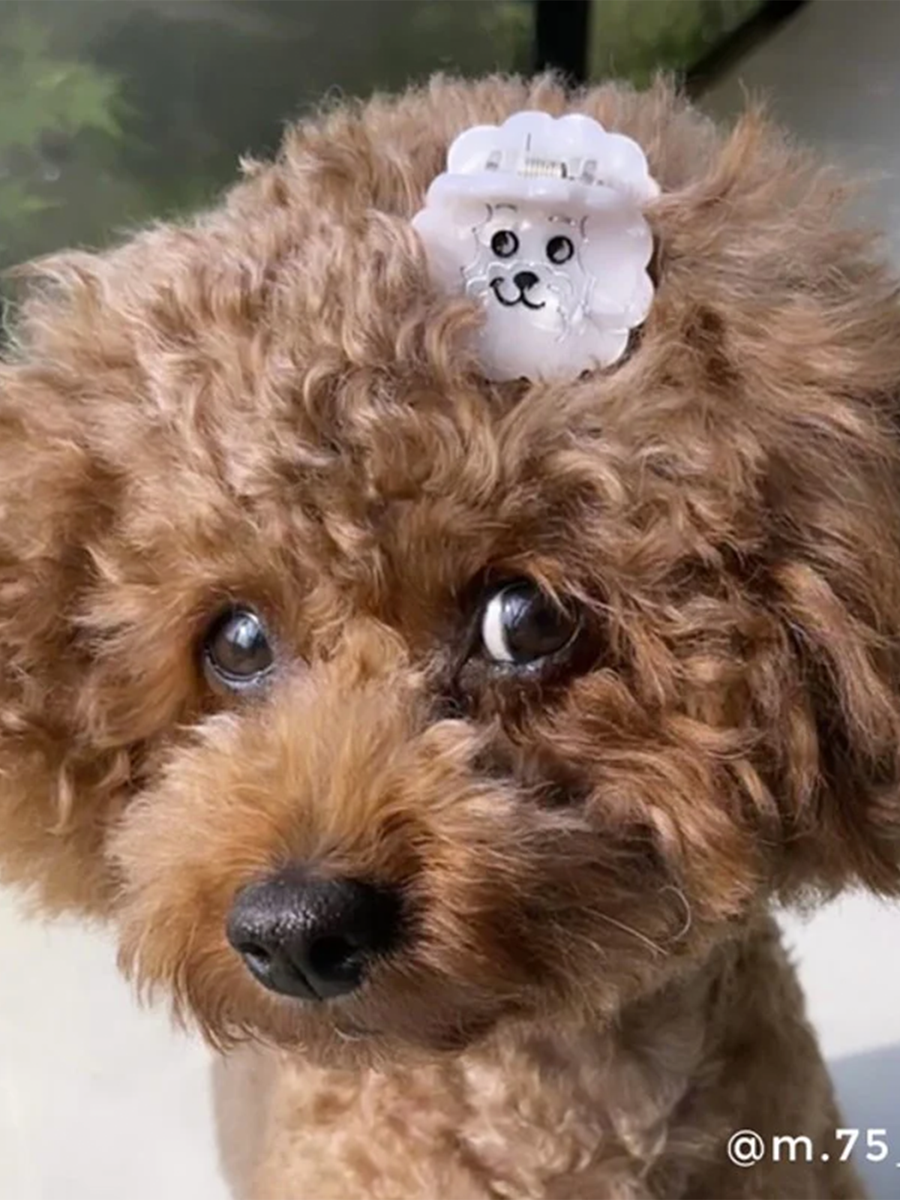 Klamra do włosów Mini Bichon