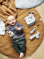 Raffi rattle with whistle