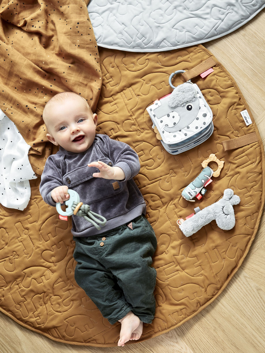 Raffi rattle with whistle