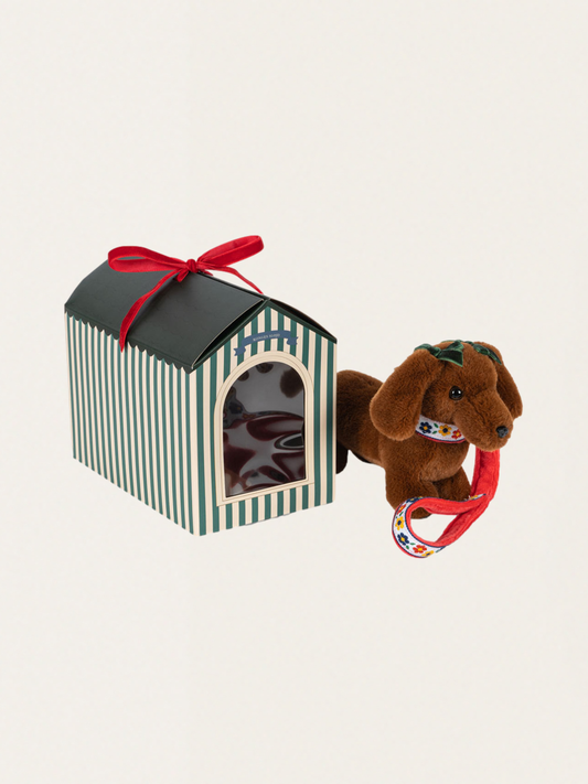 Pluszowy jamnik w ozdobnym pudełku
