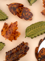 Klamra do włosów Maple leaf