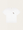 Oversize T-shirt Poodle