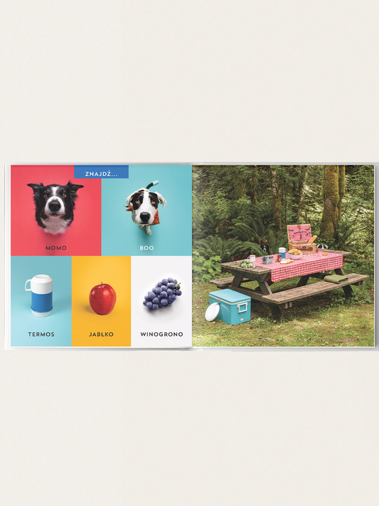 Gdzie jest MOMO? W podróży!