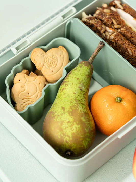 Lunchbox z separatorem